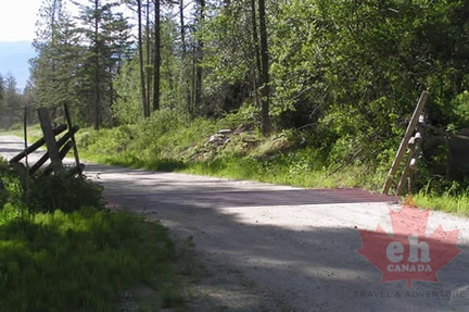 Cattle Guard