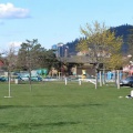 Sitting in Park