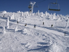 big_white 026.jpg