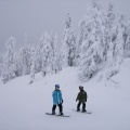 Boarding Dudes