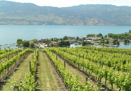 Okanagan Valley Wineries and Orchards - display this album Okanagan Valley Wineries and Orchards