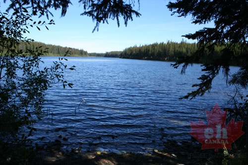 Doreen Lake