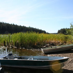 Boats