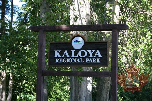 welcome-sign.jpg