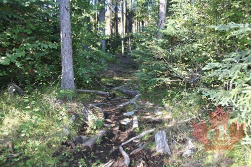 trail 001.jpg