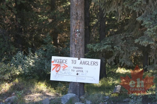 Angler Signs