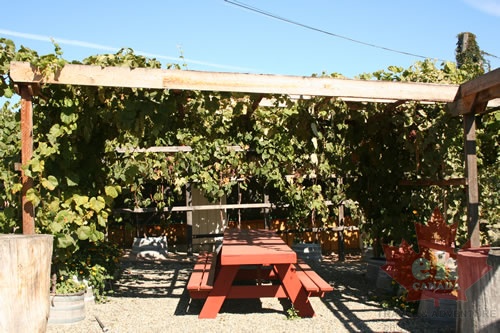 cafe 001.jpg
