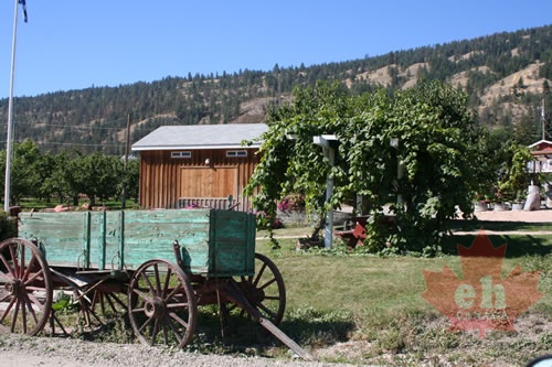 Farm Field Artifacts