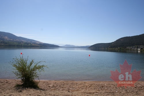 wood-lake 001.jpg