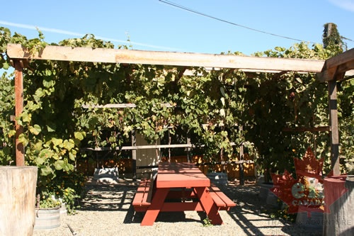 Vineyard picnic area