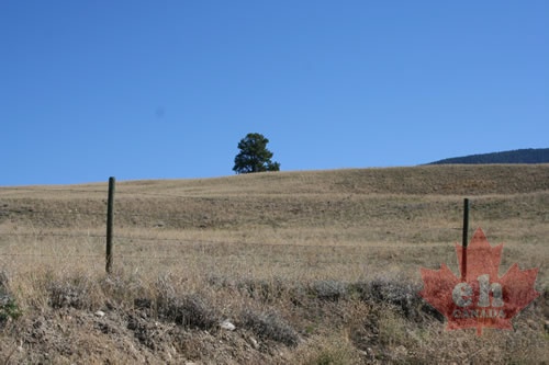 farmlands 002.jpg
