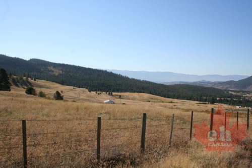 farmlands 003.jpg