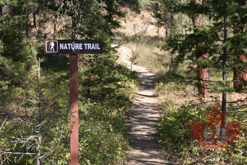 Nature Trail