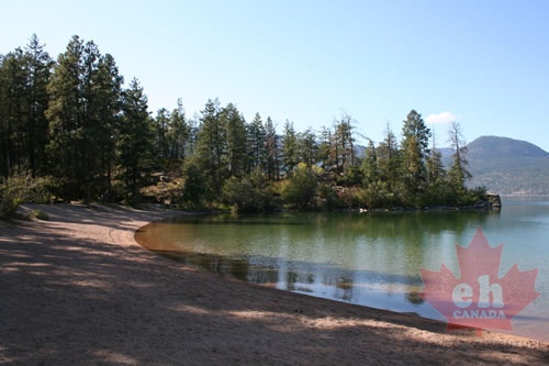 Beach Area