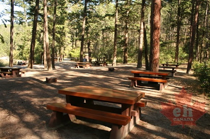 Day Use Area