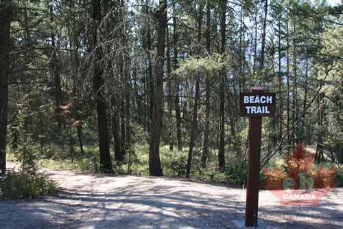 Beach Trail