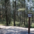 Beach Trail