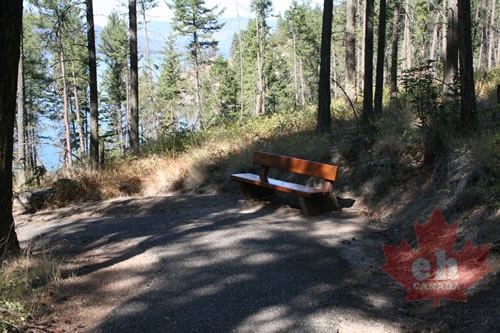Hiking Trail