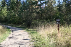 Hiking in the Park