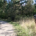 Hiking in the Park