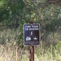 Hiking Trail in Park