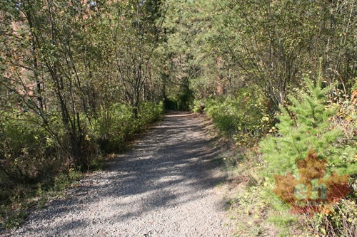 Hiking Trail