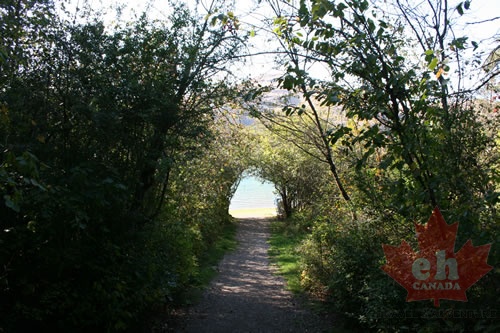 Jade Bay Trail