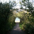 Jade Bay Trail