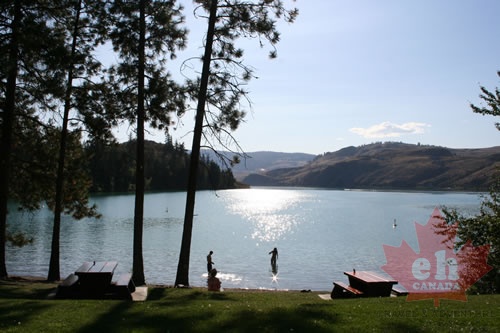 Juniper Bay