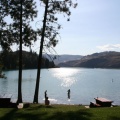 Juniper Bay