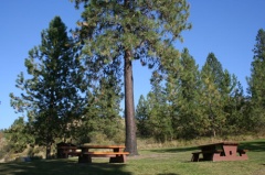 Juniper Bay Day Use Area