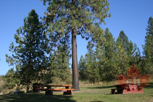 Juniper Bay Day Use Area