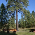 Juniper Bay Day Use Area