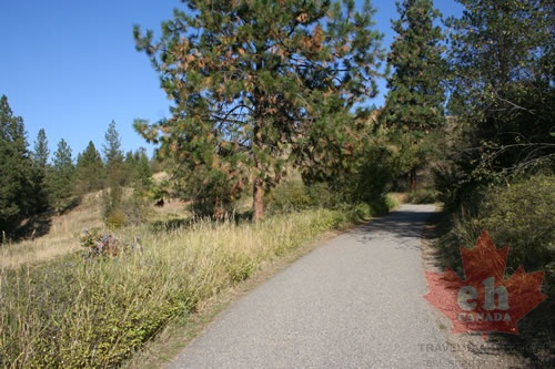 Another Hiking Trail