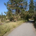 Another Hiking Trail