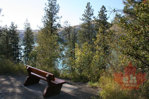 main-trail-resting-bench.jpg