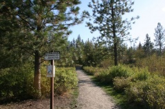 Dog Beach Trailhead