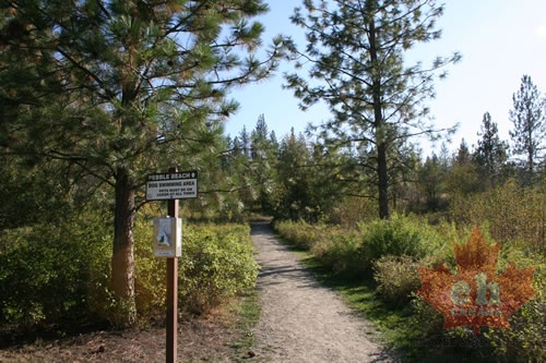 Dog Beach Trailhead