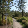Dog Beach Trailhead