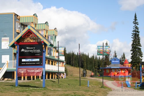 Silver Star Sign
