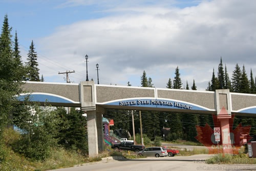 Bridge at Entrance