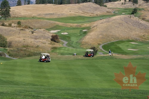 Golf Carts