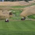 Golf Carts