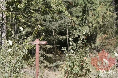 Trail Marker