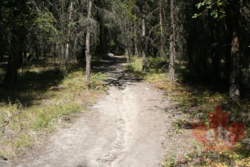Hiking Trail