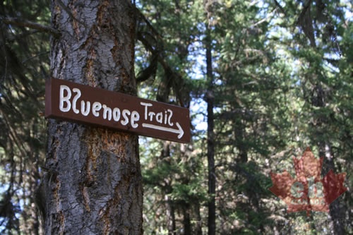 Trailhead Marker