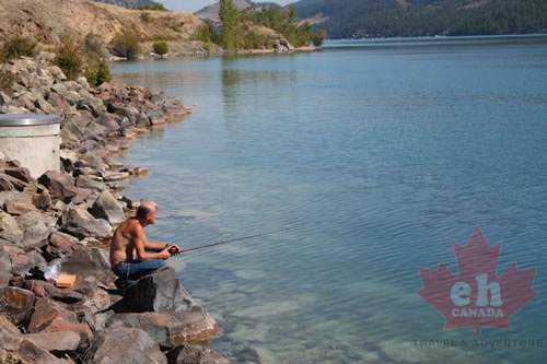 Fishing for Trout
