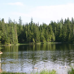 Kootenay Activities