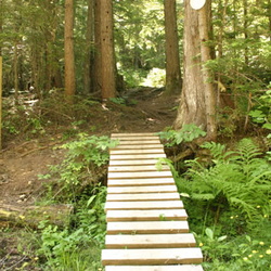 Mt. MacPherson Trails