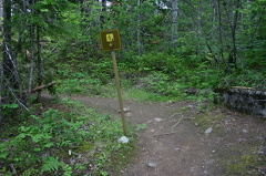 Inspiration Woods Trail